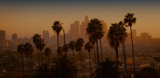 Los Angeles palm trees and skyline.