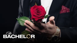 Logo titre The Bachelor