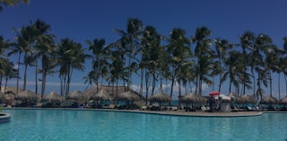 Dominican Republic palm trees and pool