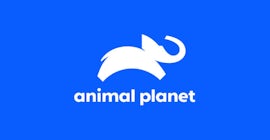 Logotyp för Animal Planet.