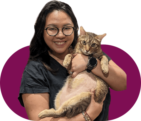 Sabrina career journey ExpressVPN with cat