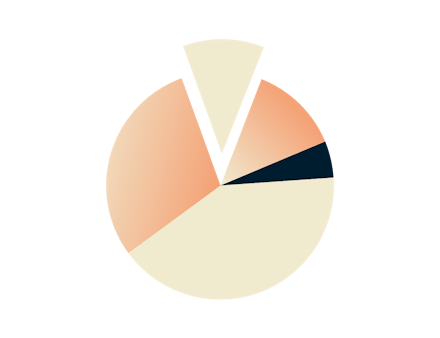 Graphique circulaire.