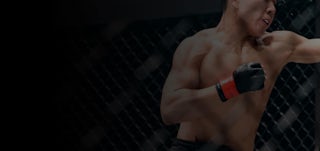UFC Hero obrazek