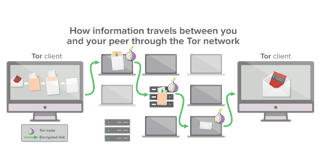 A Tor network provides at least three hops for your data to travel through.
