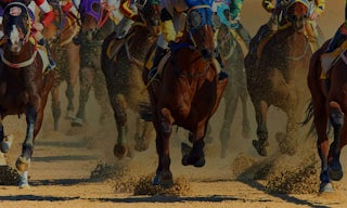 Watch horse racing live with a VPN.