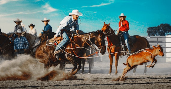 Watch Ultimate Cowboy Showdown online