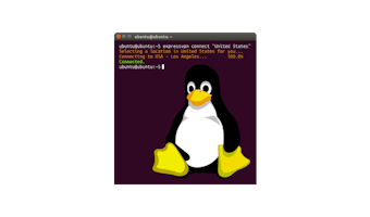 Vista previa: capturas de pantalla de Linux. Linux: conectarse