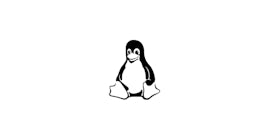 Linux VPN.